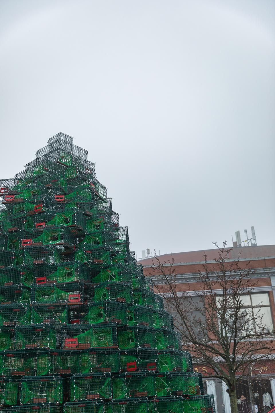 Why You Should Visit Gloucester, MA, This Winter