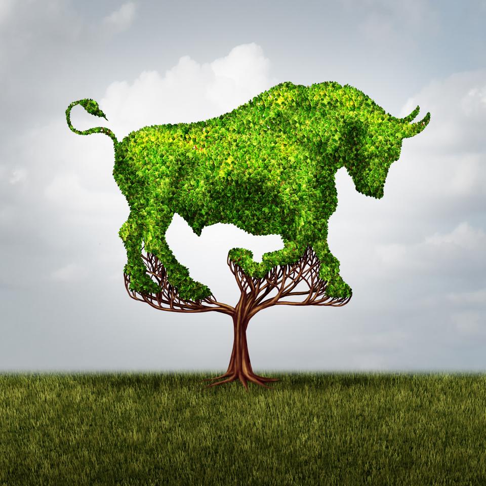 Bull Market Growth
