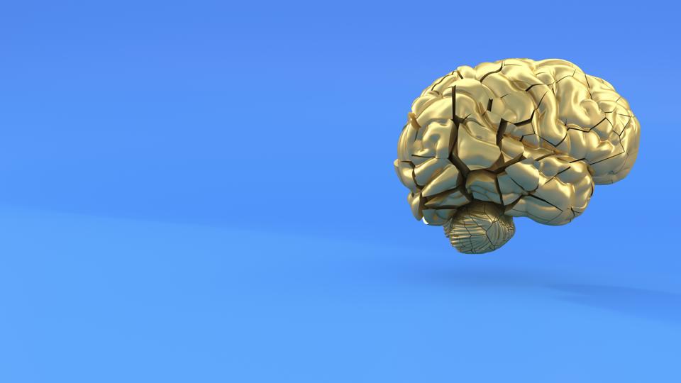 Three dimensional render of human brain