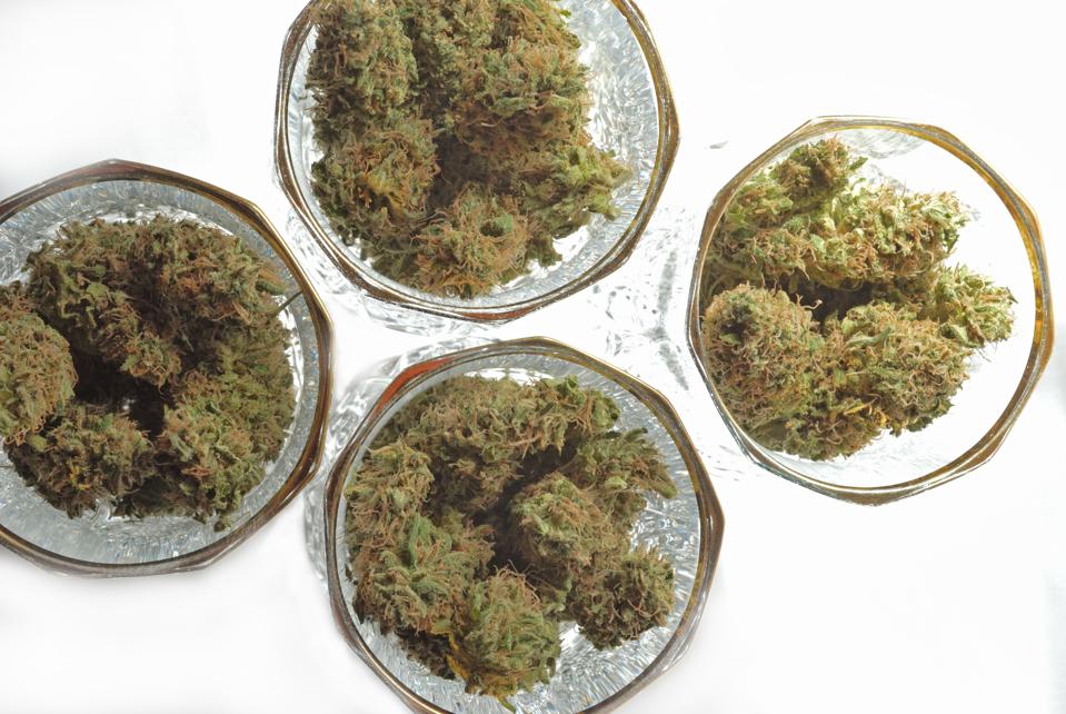 Четири чаши за вино, пълни с марихуана, както се вижда отгоре.