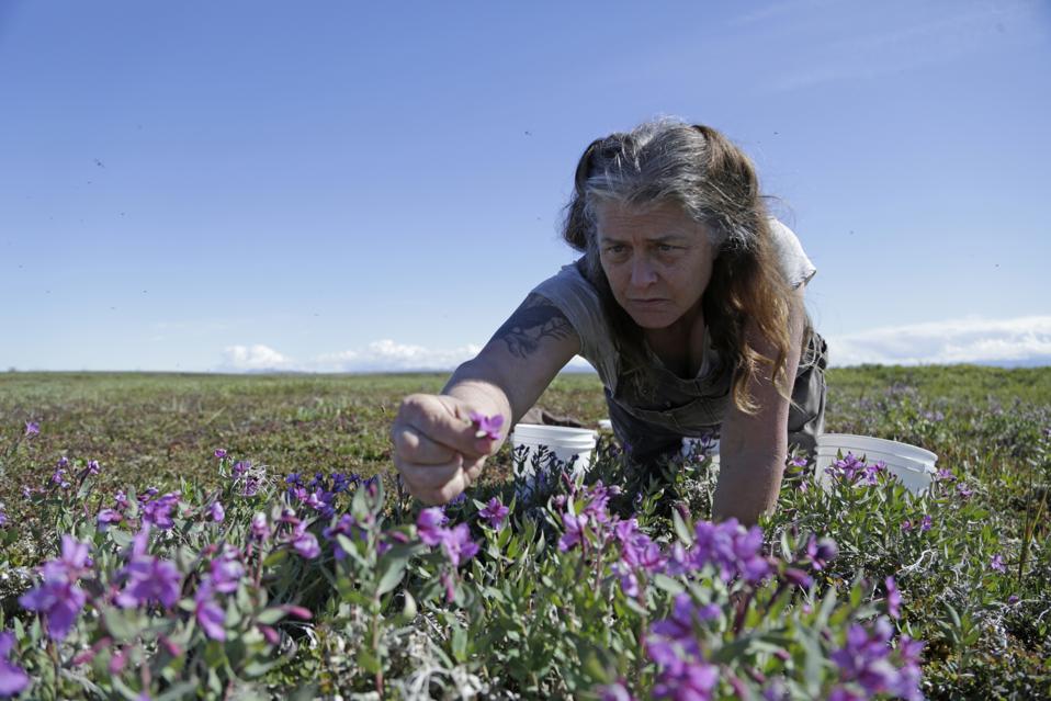 sue aikens shares challenges and