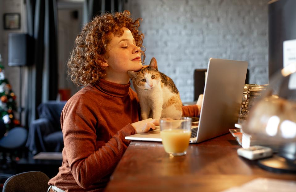 The self-employment trend will continue to grow in the next five years, a new study shows.