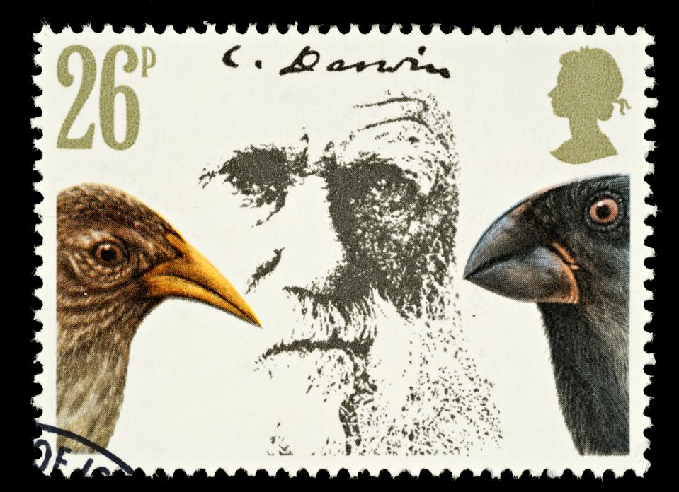 Charles Darwin Postage Stamp