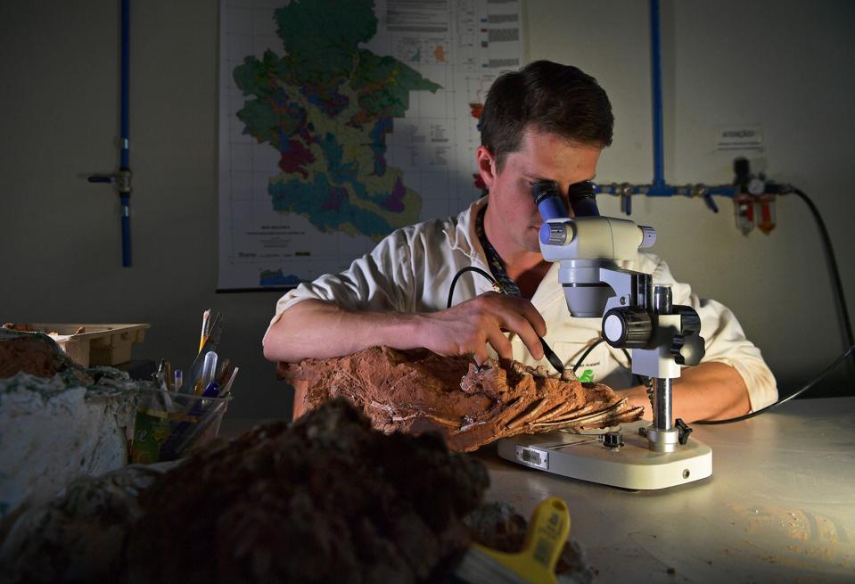 Scientists are making new discoveries about evolution, using new techniques of big data and machine learning to peer further into each species' evolution and genetic code