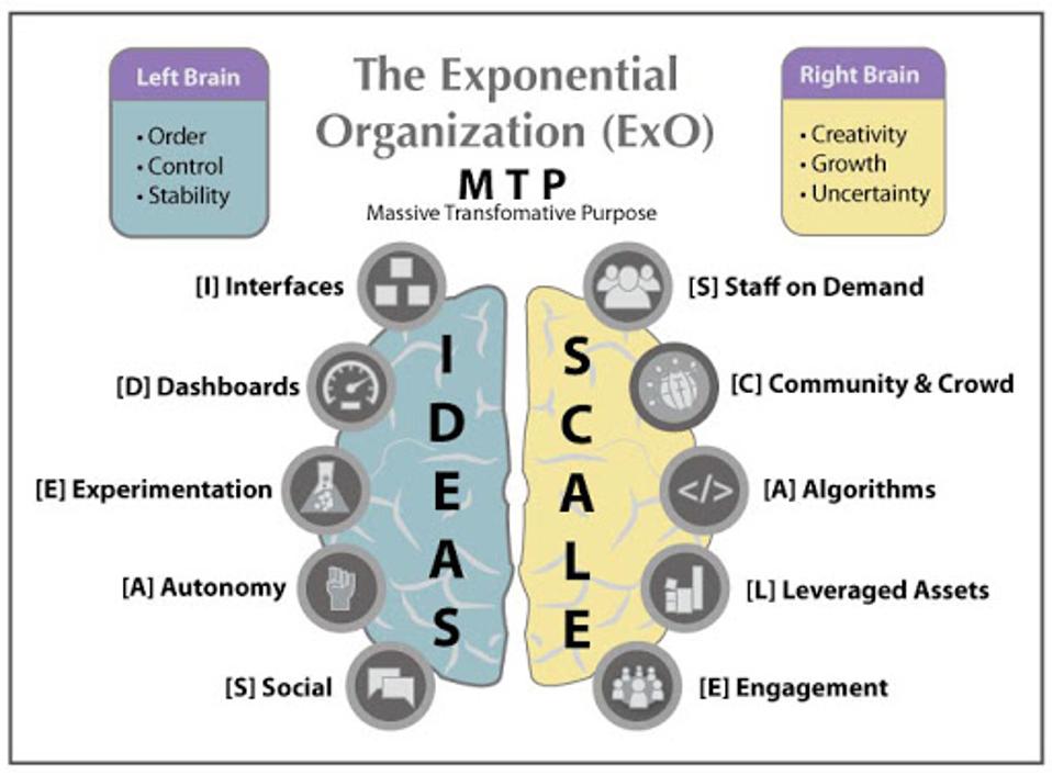 Exponential Organizations show attributes of structure and creativity, harnessing the power of new technologies to define themselves