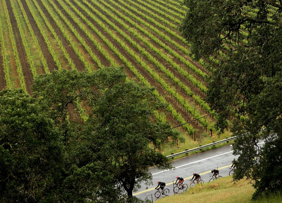 From Calistoga to American Canyon, there are countless cycling routes to explore.