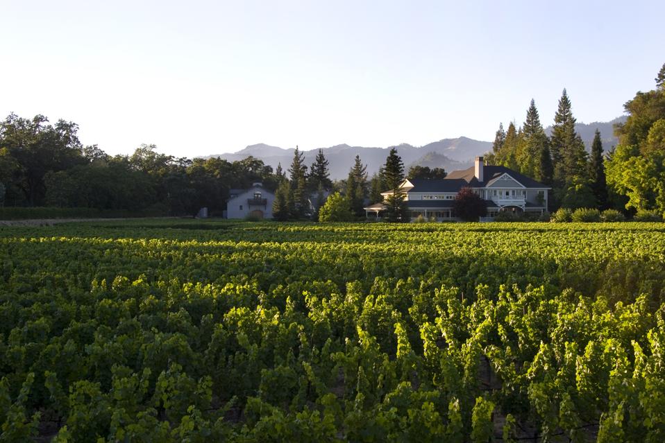 Co-founded by Dan and Margaret Duckhorn in 1976, Duckhorn Vineyards has spent forty years establishing itself as one of North America’s premier producers of Napa Valley wines.