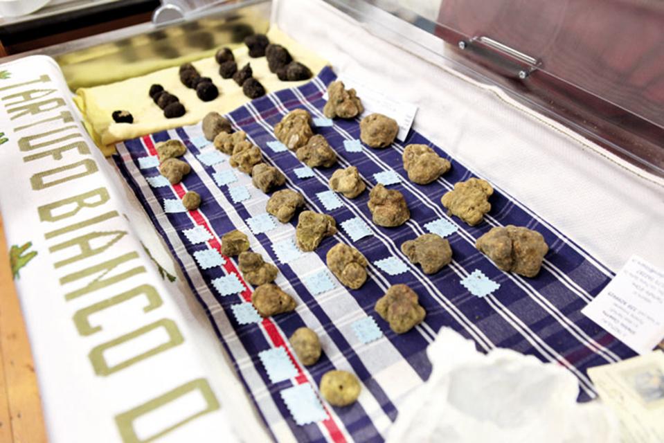 Truffles from Langhe region, northern Italy