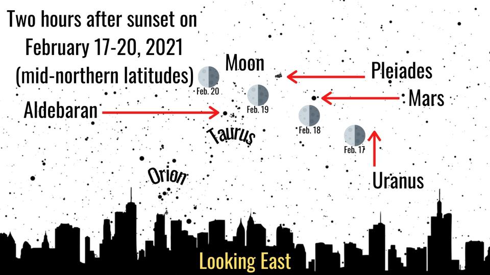 The Moon will lead the way to some superb stargazing sights this week.
