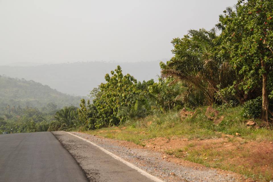Toad Trip, Kpalime, Togo
