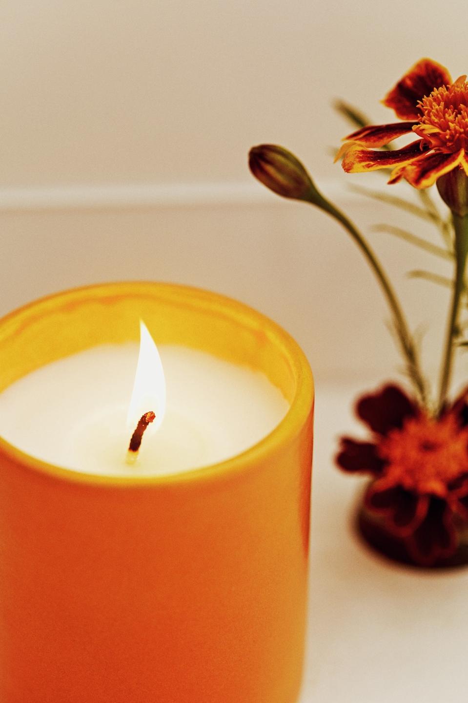 Dandelion Wine Scented Candle Sleeper