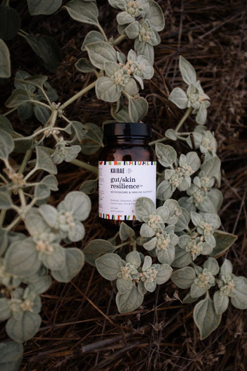 KAIBE Gut Skin Resilience Microbiome and Immune Support