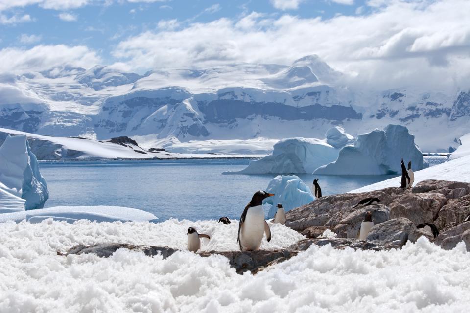 Penguins surrounded by mountains and glaciers in Antarctica