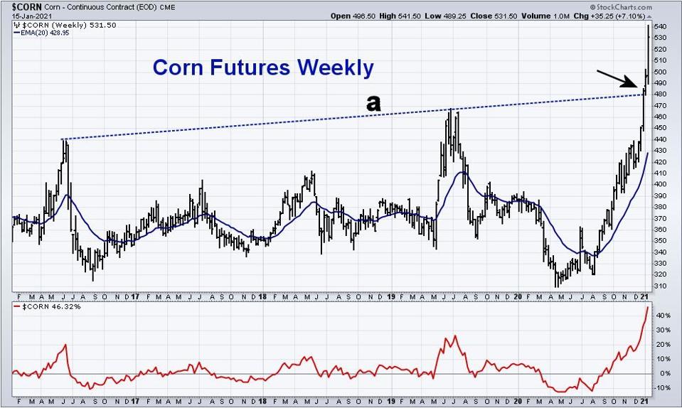 Corn