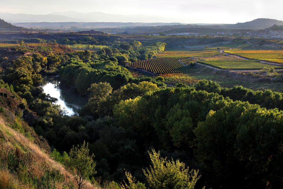 Iconic Wineries Of Rioja