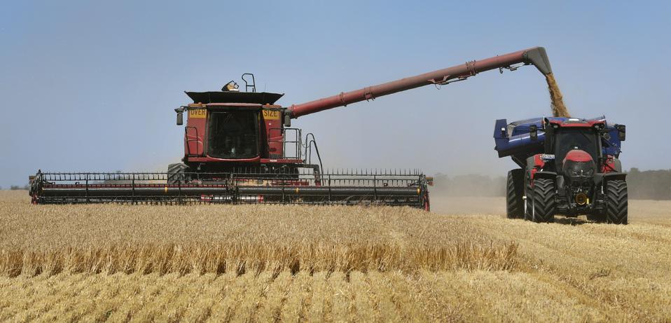 AUSTRALIA-AGRICULTURE-BARLEY