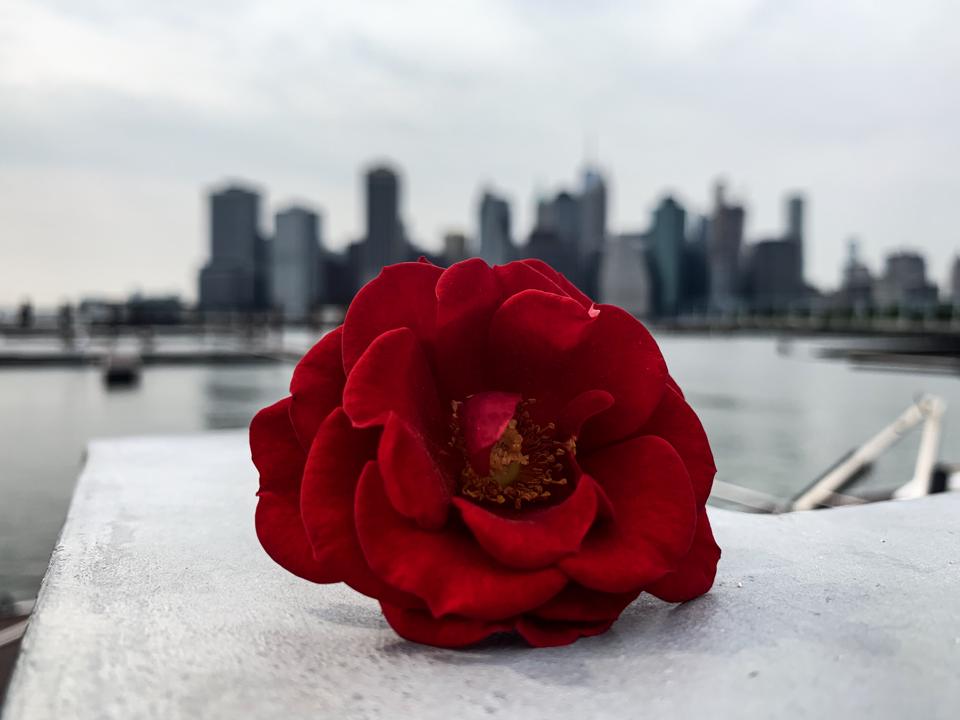 “Dear NYC, 2019”