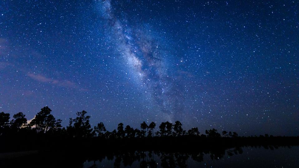 Constellations in Everglades National Park