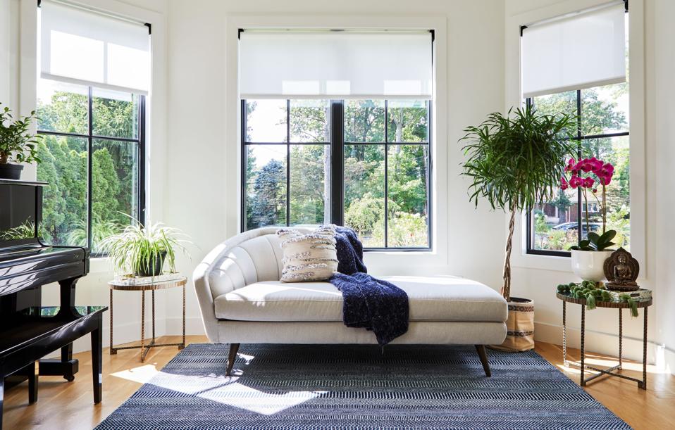 Living room with plants and nature views.
