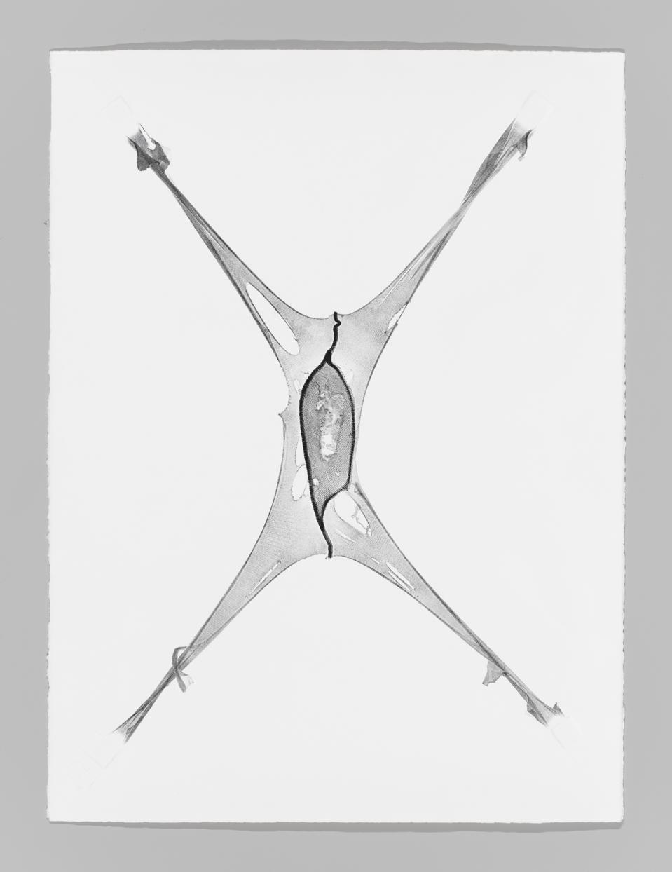 Julia Phillips (b. 1985), Expanded VI, 2016. Relief collagraph with blind embossing, 29 7/8 × 22 3/8 in. (75.9 × 56.8 cm). Whitney Museum of American Art, New York; purchase with funds from Stephen Dull 2019.295. © Julia Phillips