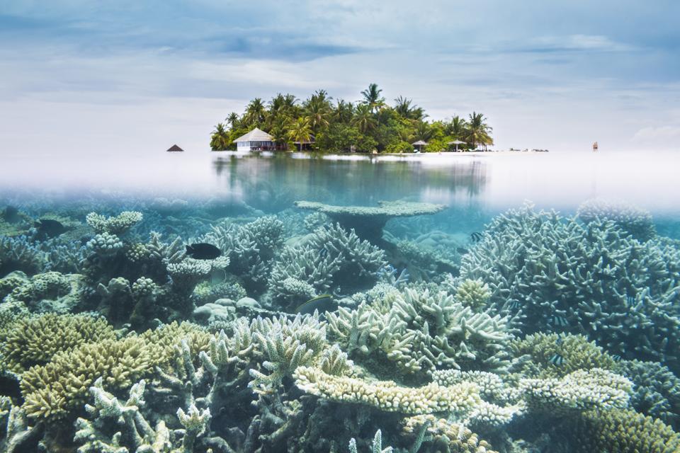 Maldives halfwater