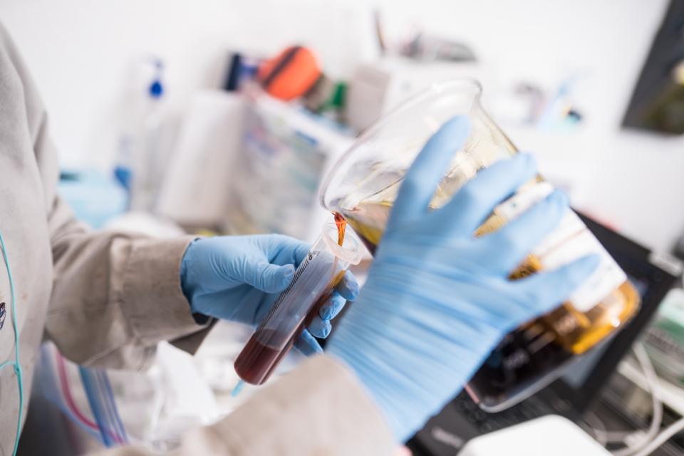 beaker of cannabis liquid concentrate being poured into a test tube