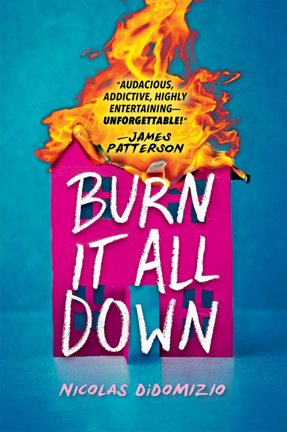 little brown and company book cover burn it all down nicolas didomizio