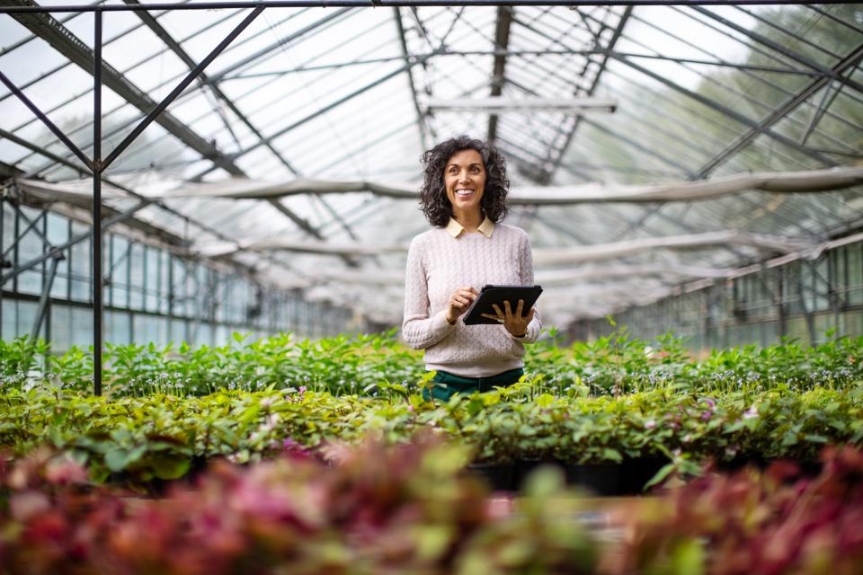 Sustainability In The Cannabis Industry: Truly Going Green