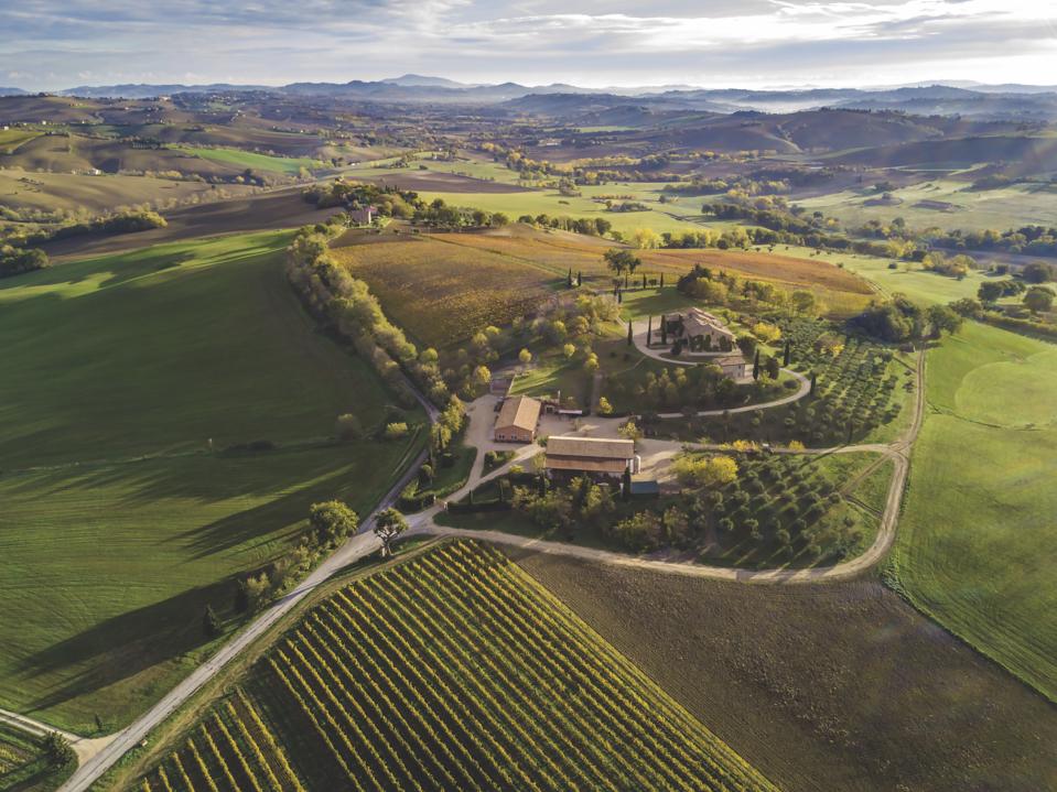 Estate of Tenuta di Tavignano, a top producer of Verdicchio dei Castelli di Jesi