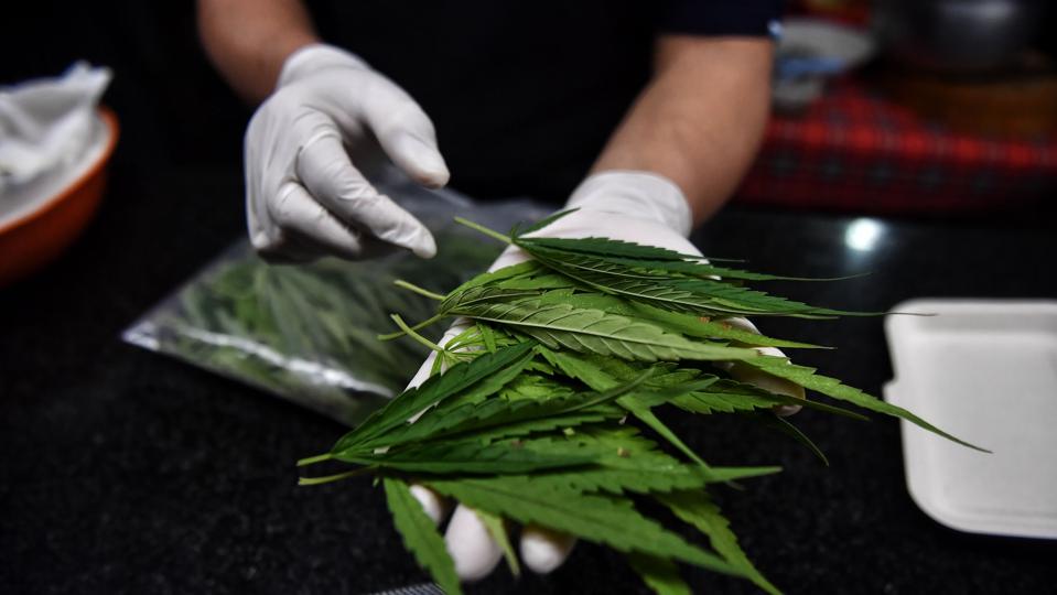 THAILAND-HEALTH-CANNABIS-CUISINE