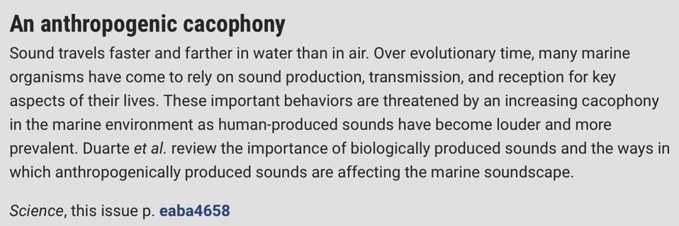Noise pollution in the oceans is a growing problem. Offshore wind will make it worse.