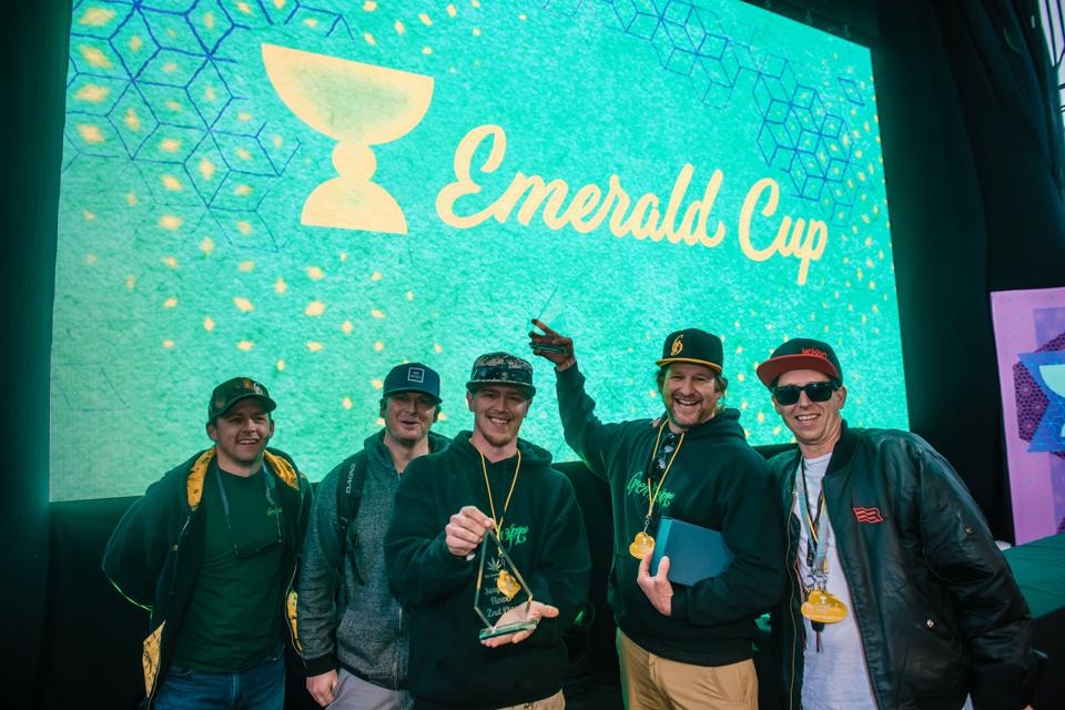 Winners of the 2019 Emerald Cup display their trophies.