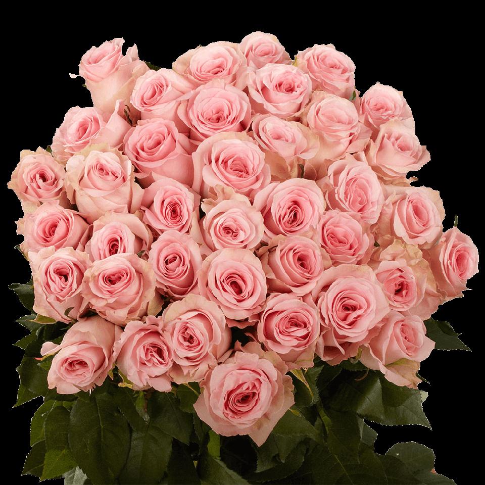 The Best Flower Delivery Services For Valentine S Day Bouquets The Best Flower Delivery Services For Valentine S Day Bouquets