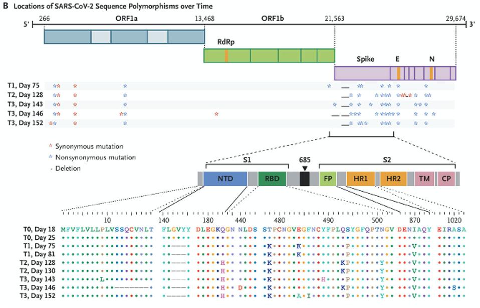 Figure 2. The mutations in the Boston patient include deletions from 12-18 in the signal peptide and N-terminal domain; deletions 142-144 in the N-terminal domain; the Q183H substitution in the N-terminal domain; N440D, T478K, E484K/A, F486I, Y489H, Q493K, S494P, and N501Y in the receptor binding domain; the substitution D614G; I870V, and A1020S.