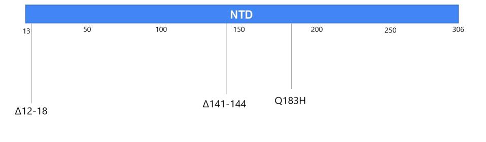 Figure 4. Visual representation of mutations to the N-terminal domain.