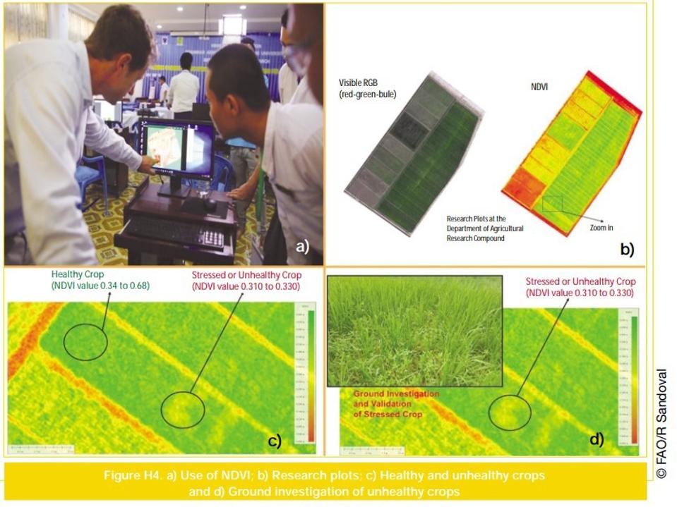 10 Ways AI Has The Potential To Improve Agriculture in 2021