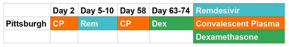 Figure 1. A graphic depiction of the Pittsburgh patient’s treatment course.