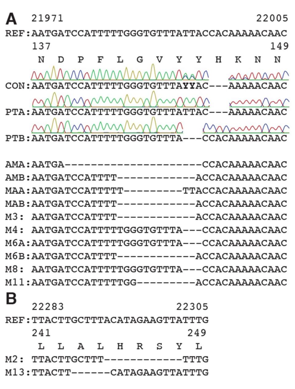 Figure 2. Deletions in SARS-CoV-2 spike arise during persistent infections of immunosuppressed patients.