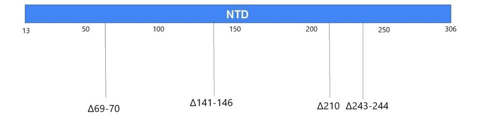 Figure 4. Linear visualization of the N-terminal domain in the spike protein.