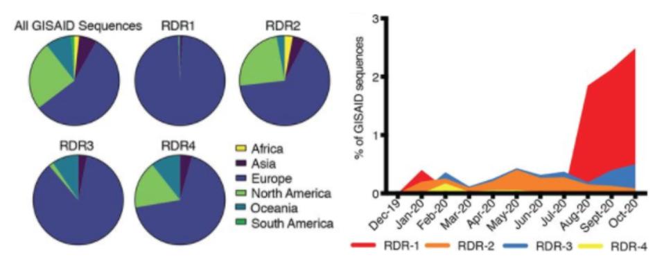Geographic, genetic, and temporal abundance of RDR variants.