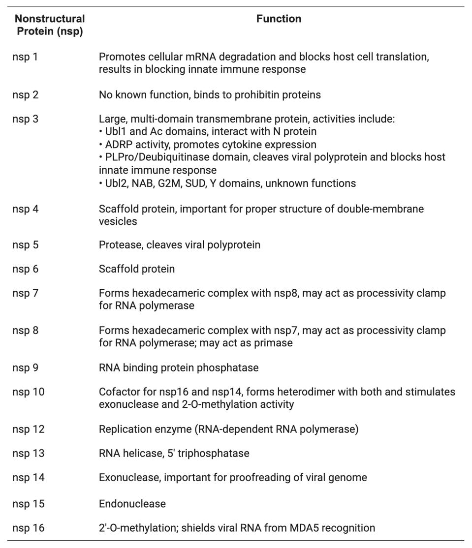 Table 2. Nonstructural proteins of coronaviruses and their functions.