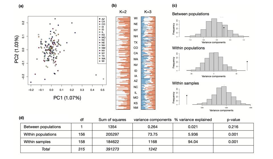 Figure 2 doi:10.1111/mec.15806