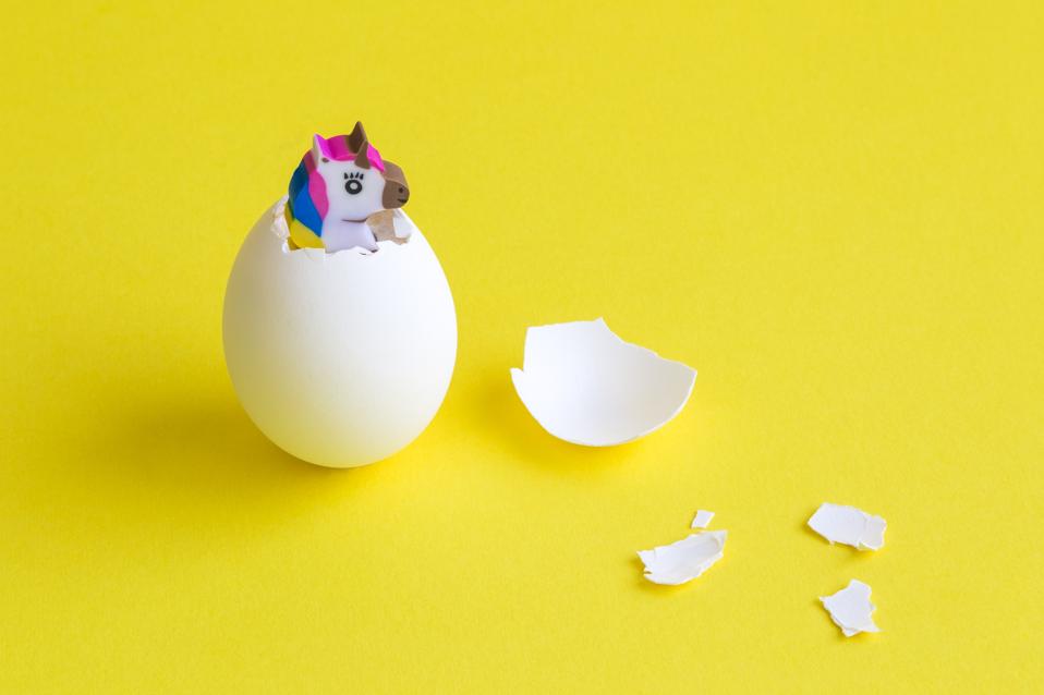 Studies show that the more innovative your startup idea, the higher are its chances of failure. If you’re building an innovative solution, it’s important to make sure you’re investing your resources in the right idea. Here’s how.