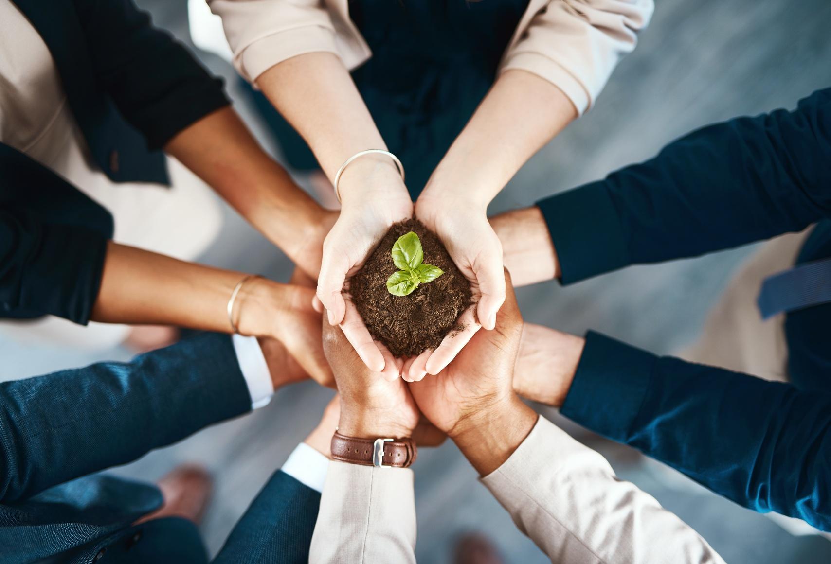 Setting The Right Sustainability Goals - Vimarsana News