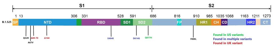 Mutations along the spike protein of the Nigerian variant.