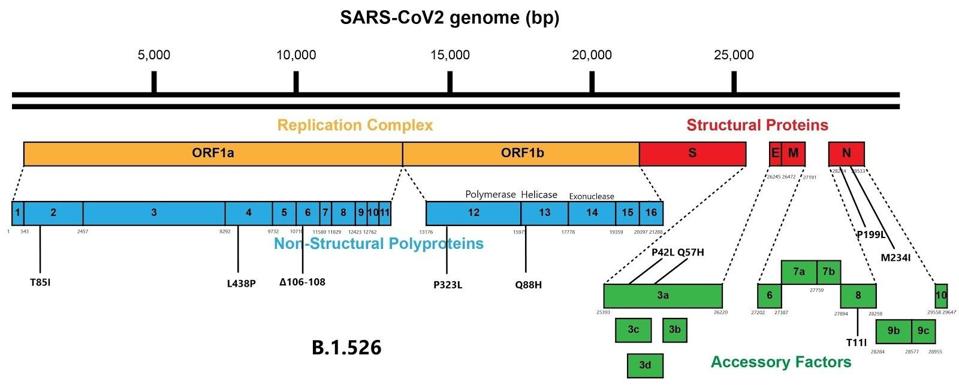 Mutations external to the spike protein