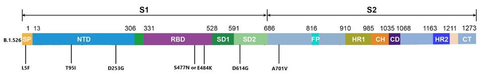Mutations to the spike protein