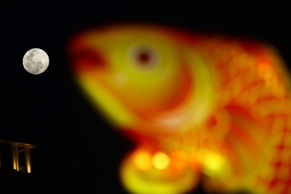 La espectacular “Luna de nieve” de este fin de semana entusiasma a los observadores del cielo de todo el mundo La espectacular “Luna de nieve” de este fin de semana entusiasma a los observadores del cielo de todo el mundo