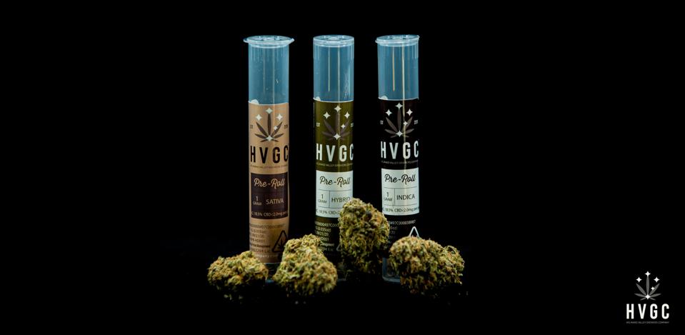 cannabis marijuana ptsd veterans