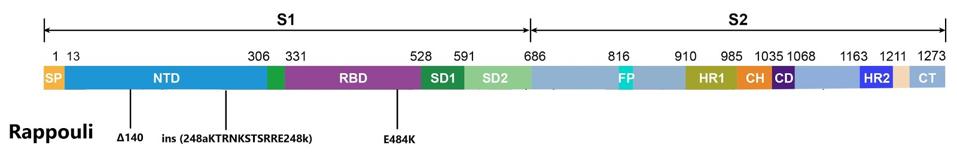 Mutations to the spike protein